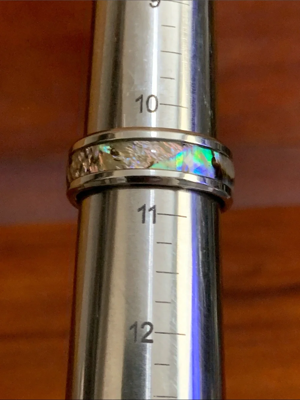 New stainless steel shell ring